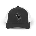 Donk Logo Hat | Snapback Trucker Cap